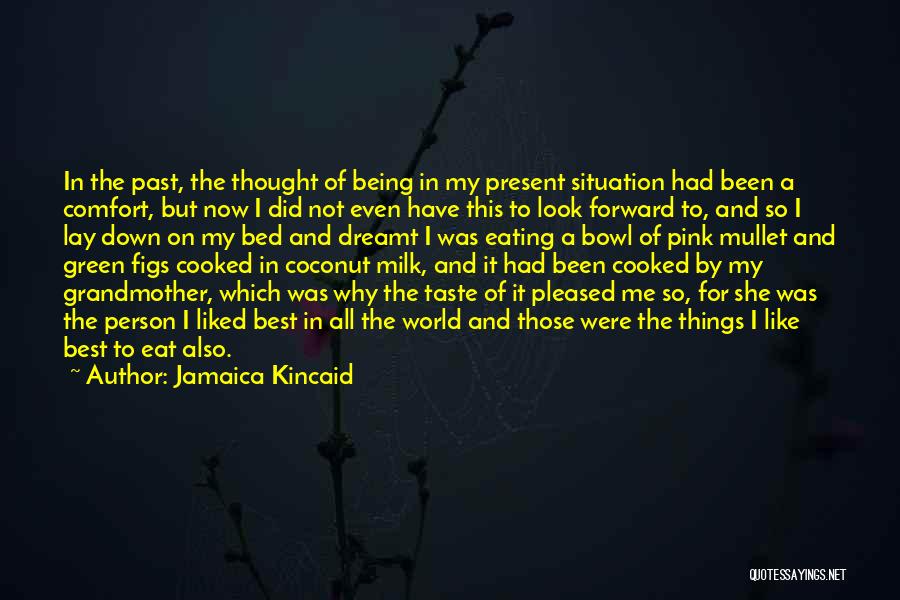 Jamaica Kincaid Quotes: In The Past, The Thought Of Being In My Present Situation Had Been A Comfort, But Now I Did Not