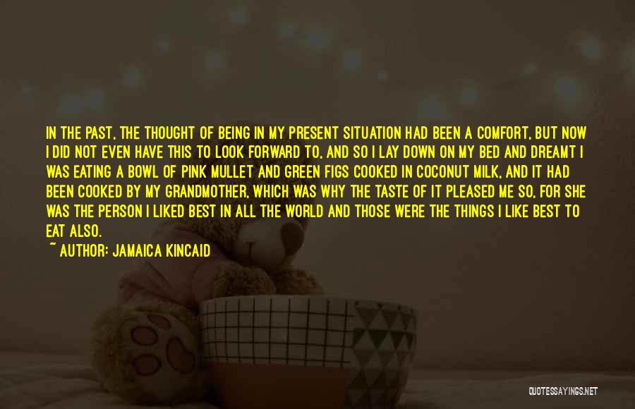 Jamaica Kincaid Quotes: In The Past, The Thought Of Being In My Present Situation Had Been A Comfort, But Now I Did Not