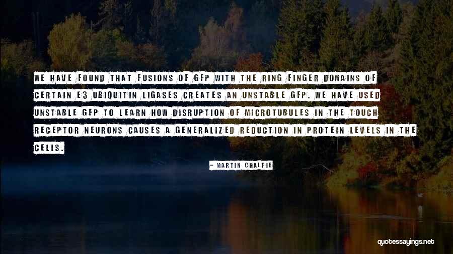 2014 About Life Quotes By Martin Chalfie 2014 About Life Quotes By Martin Chalfie
