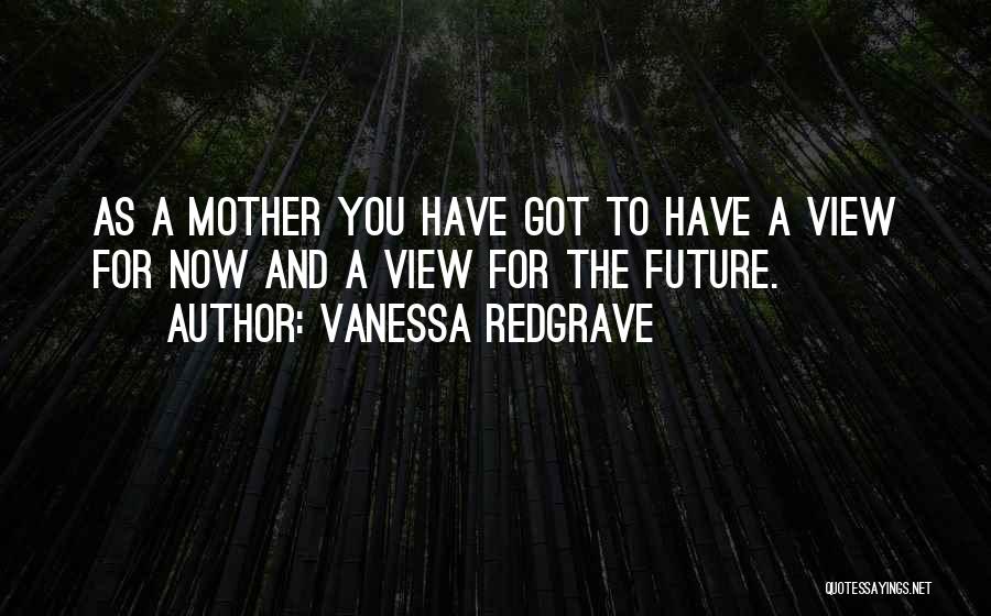 Vanessa Redgrave Quotes: As A Mother You Have Got To Have A View For Now And A View For The Future.
