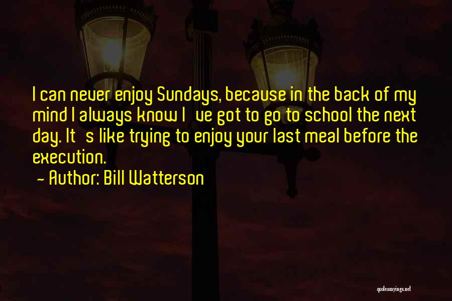 Bill Watterson Quotes: I Can Never Enjoy Sundays, Because In The Back Of My Mind I Always Know I've Got To Go To