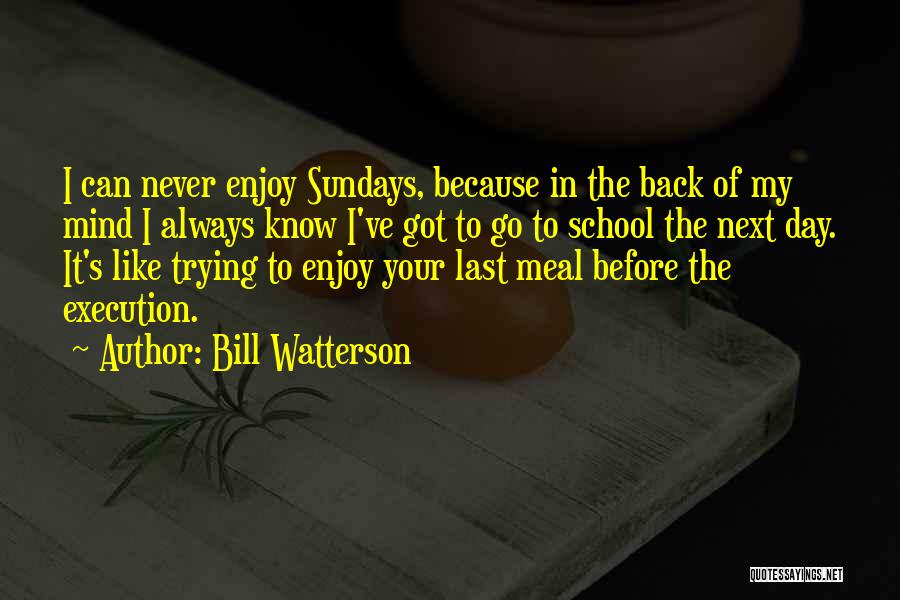 Bill Watterson Quotes: I Can Never Enjoy Sundays, Because In The Back Of My Mind I Always Know I've Got To Go To