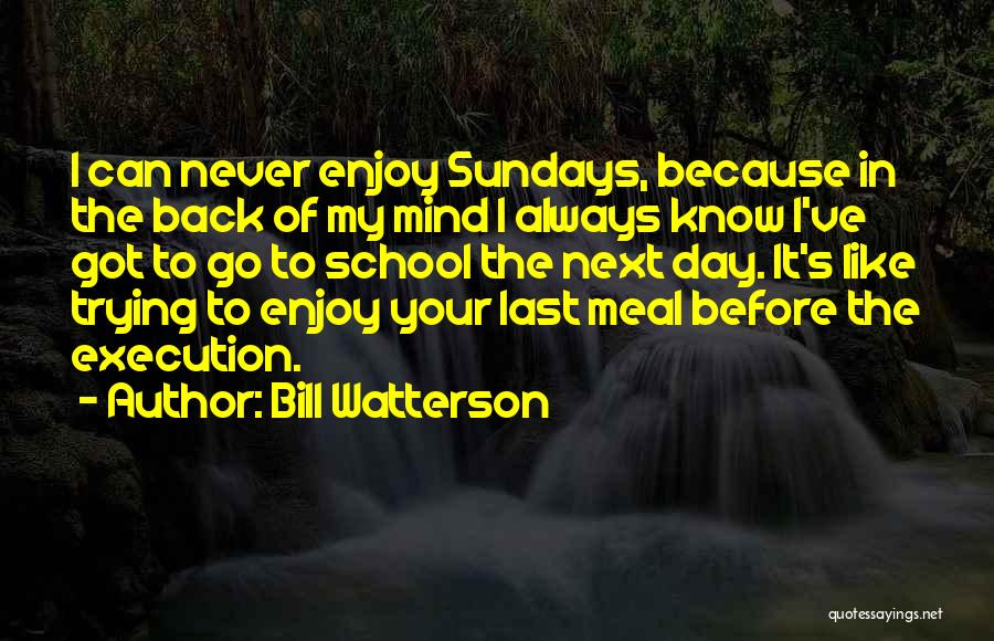 Bill Watterson Quotes: I Can Never Enjoy Sundays, Because In The Back Of My Mind I Always Know I've Got To Go To