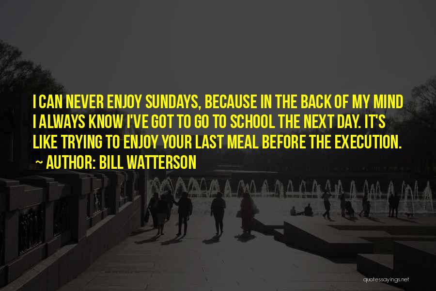 Bill Watterson Quotes: I Can Never Enjoy Sundays, Because In The Back Of My Mind I Always Know I've Got To Go To