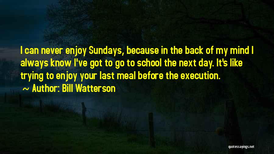 Bill Watterson Quotes: I Can Never Enjoy Sundays, Because In The Back Of My Mind I Always Know I've Got To Go To