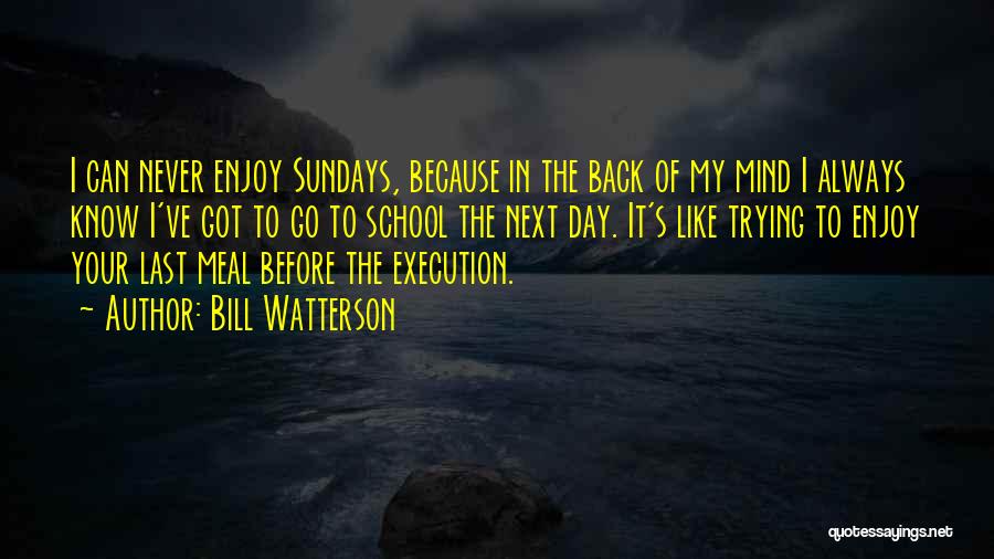 Bill Watterson Quotes: I Can Never Enjoy Sundays, Because In The Back Of My Mind I Always Know I've Got To Go To