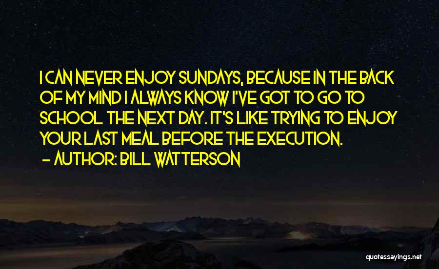 Bill Watterson Quotes: I Can Never Enjoy Sundays, Because In The Back Of My Mind I Always Know I've Got To Go To