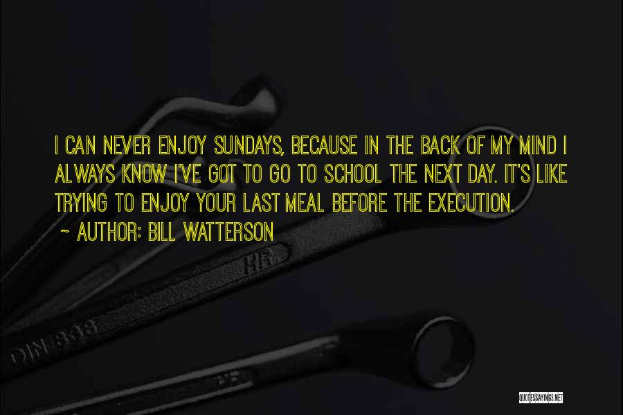 Bill Watterson Quotes: I Can Never Enjoy Sundays, Because In The Back Of My Mind I Always Know I've Got To Go To