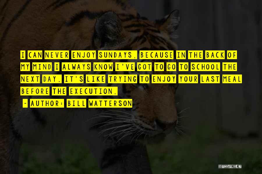 Bill Watterson Quotes: I Can Never Enjoy Sundays, Because In The Back Of My Mind I Always Know I've Got To Go To