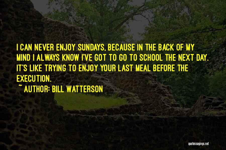 Bill Watterson Quotes: I Can Never Enjoy Sundays, Because In The Back Of My Mind I Always Know I've Got To Go To