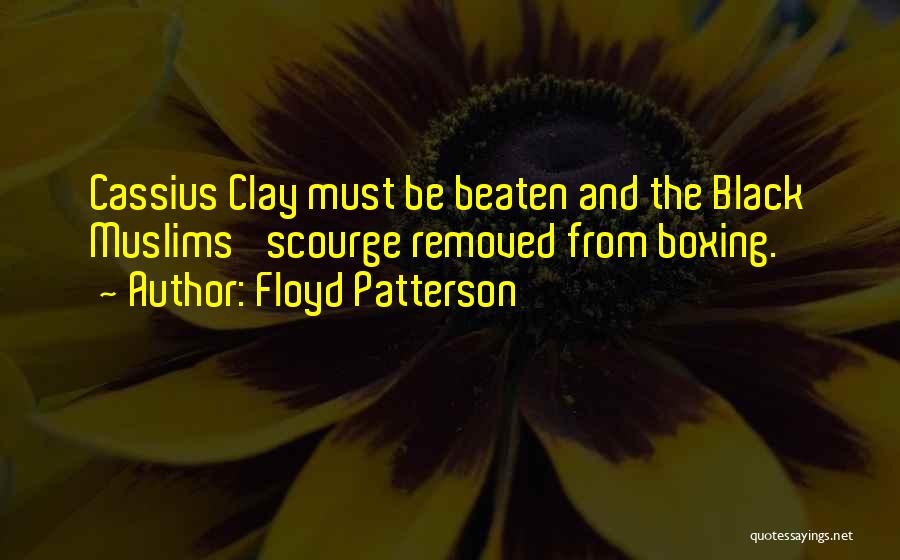 Floyd Patterson Quotes: Cassius Clay Must Be Beaten And The Black Muslims' Scourge Removed From Boxing.