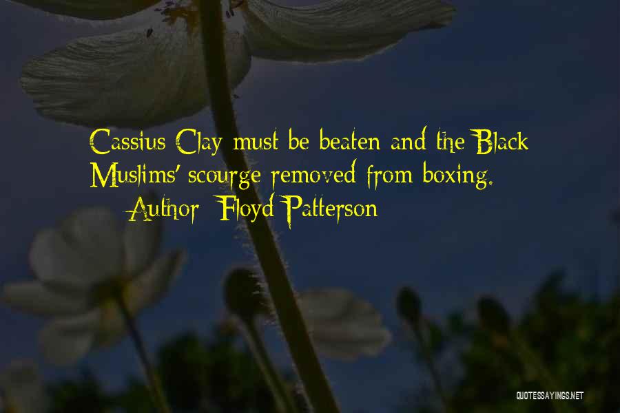 Floyd Patterson Quotes: Cassius Clay Must Be Beaten And The Black Muslims' Scourge Removed From Boxing.