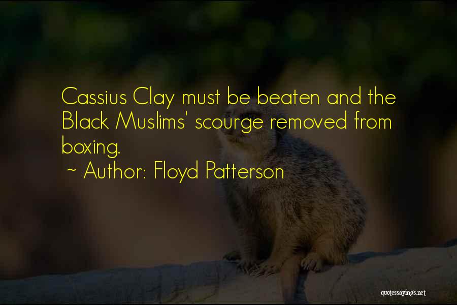 Floyd Patterson Quotes: Cassius Clay Must Be Beaten And The Black Muslims' Scourge Removed From Boxing.