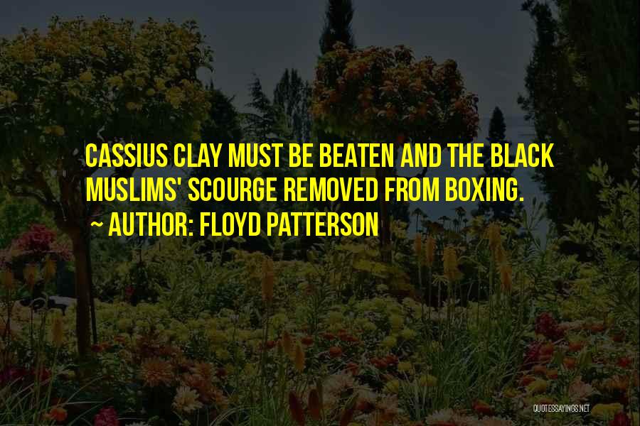 Floyd Patterson Quotes: Cassius Clay Must Be Beaten And The Black Muslims' Scourge Removed From Boxing.