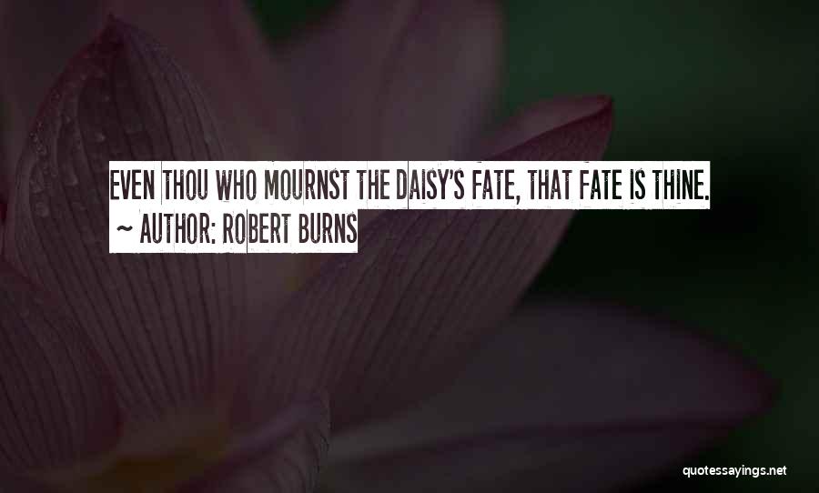 Robert Burns Quotes: Even Thou Who Mournst The Daisy's Fate, That Fate Is Thine.