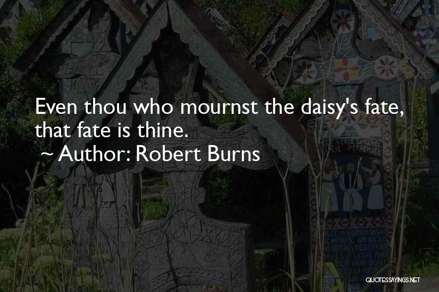 Robert Burns Quotes: Even Thou Who Mournst The Daisy's Fate, That Fate Is Thine.