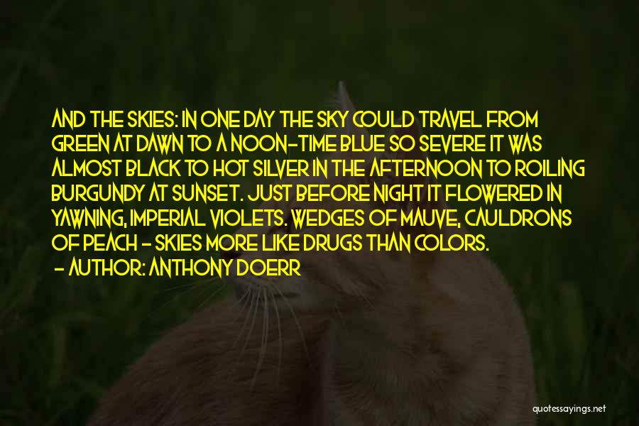 Anthony Doerr Quotes: And The Skies: In One Day The Sky Could Travel From Green At Dawn To A Noon-time Blue So Severe