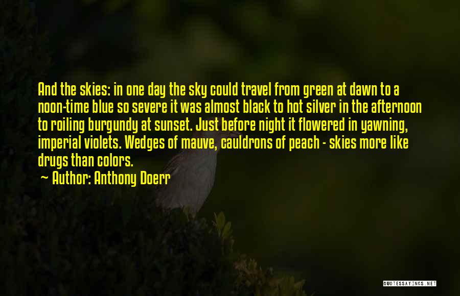 Anthony Doerr Quotes: And The Skies: In One Day The Sky Could Travel From Green At Dawn To A Noon-time Blue So Severe