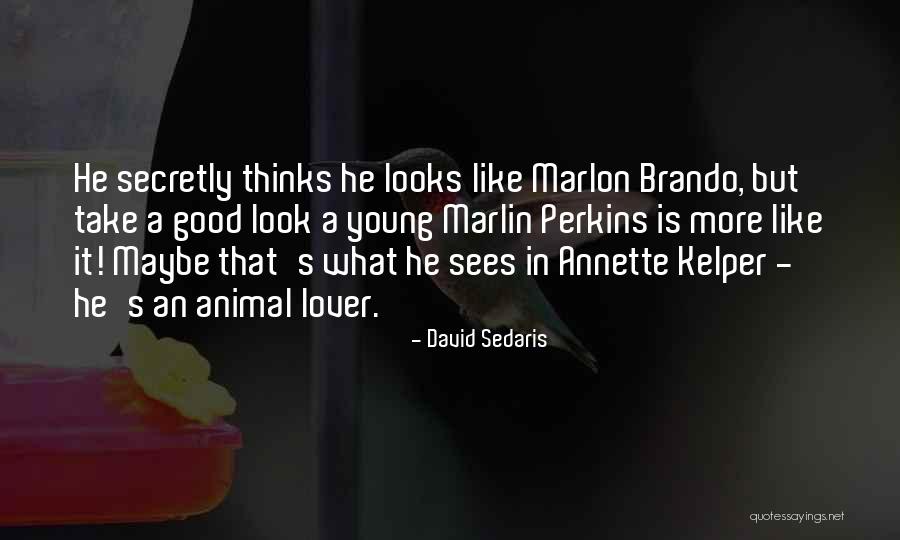 2015 Ea B3 B5 Eb Ac B4 Ec 9b 90 Ec 97 B0 Ea B8 88 Ea B0 9c Ed 98 81 Ec 95 88 Quotes By David Sedaris 2015 Ea B3 B5 Eb Ac B4 Ec 9b 90 Ec 97 B0 Ea B8 88 Ea B0 9c Ed 98 81 Ec 95 88 Quotes By David Sedaris