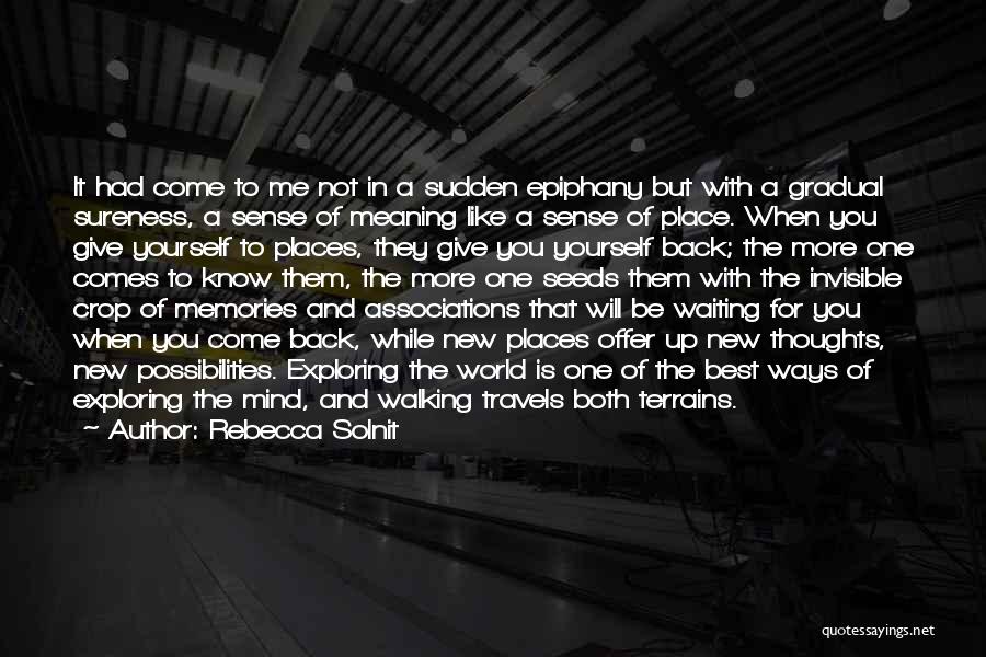 Rebecca Solnit Quotes: It Had Come To Me Not In A Sudden Epiphany But With A Gradual Sureness, A Sense Of Meaning Like