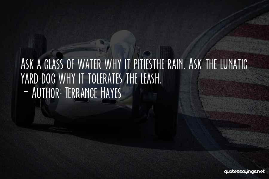 Terrance Hayes Quotes: Ask A Glass Of Water Why It Pitiesthe Rain. Ask The Lunatic Yard Dog Why It Tolerates The Leash.