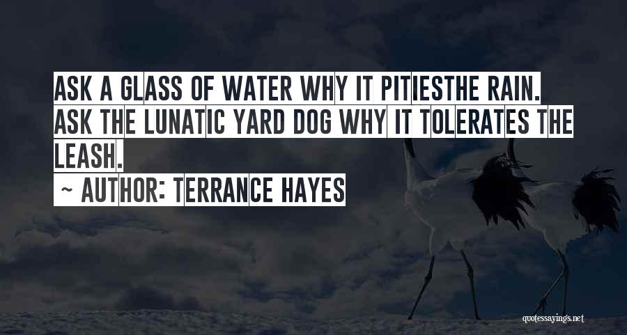 Terrance Hayes Quotes: Ask A Glass Of Water Why It Pitiesthe Rain. Ask The Lunatic Yard Dog Why It Tolerates The Leash.