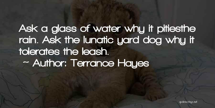 Terrance Hayes Quotes: Ask A Glass Of Water Why It Pitiesthe Rain. Ask The Lunatic Yard Dog Why It Tolerates The Leash.