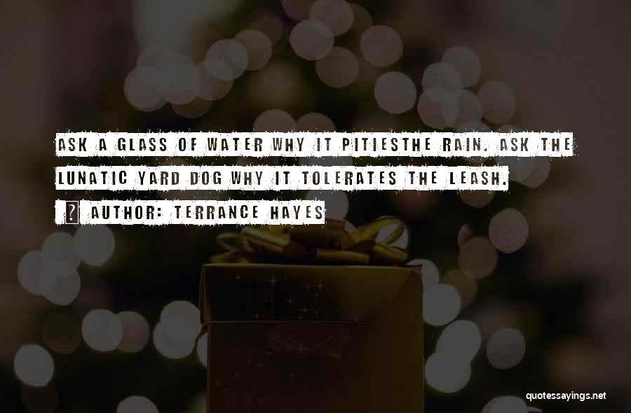 Terrance Hayes Quotes: Ask A Glass Of Water Why It Pitiesthe Rain. Ask The Lunatic Yard Dog Why It Tolerates The Leash.