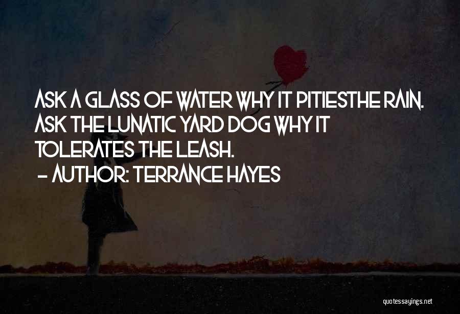 Terrance Hayes Quotes: Ask A Glass Of Water Why It Pitiesthe Rain. Ask The Lunatic Yard Dog Why It Tolerates The Leash.