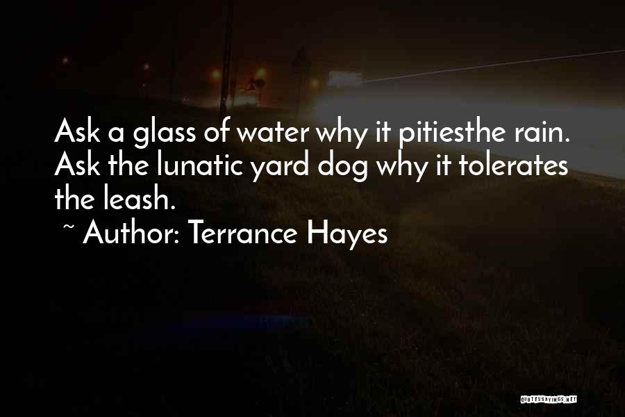 Terrance Hayes Quotes: Ask A Glass Of Water Why It Pitiesthe Rain. Ask The Lunatic Yard Dog Why It Tolerates The Leash.