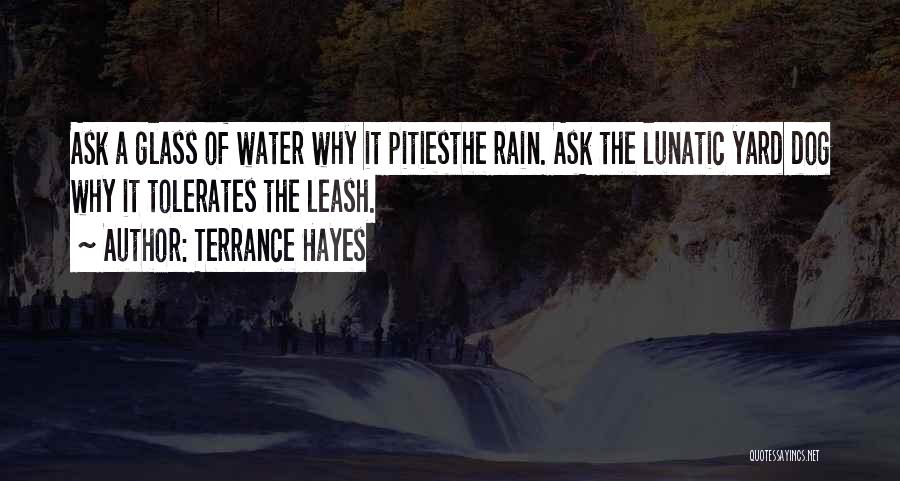 Terrance Hayes Quotes: Ask A Glass Of Water Why It Pitiesthe Rain. Ask The Lunatic Yard Dog Why It Tolerates The Leash.