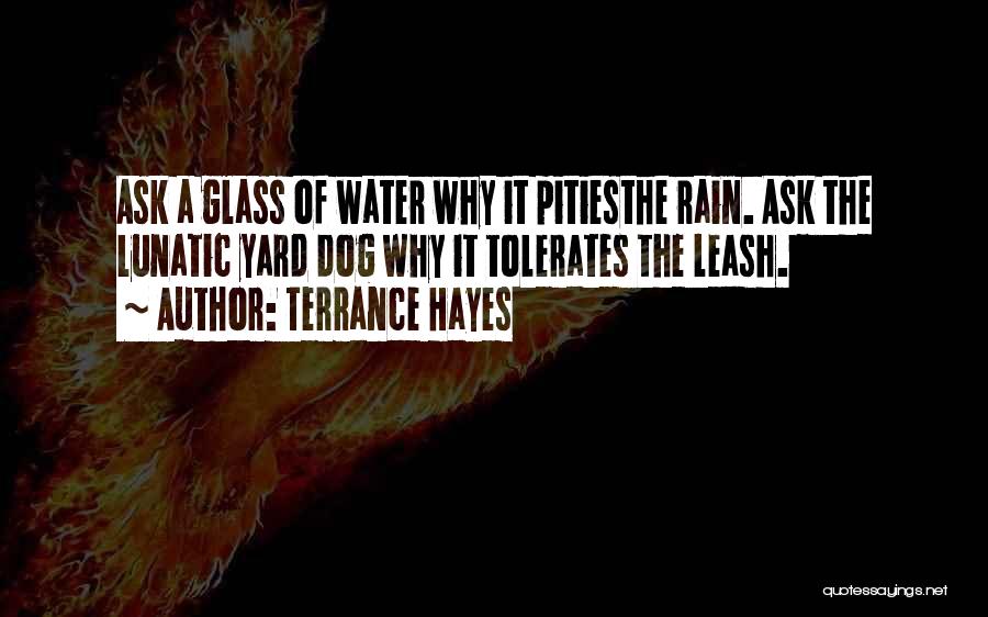 Terrance Hayes Quotes: Ask A Glass Of Water Why It Pitiesthe Rain. Ask The Lunatic Yard Dog Why It Tolerates The Leash.