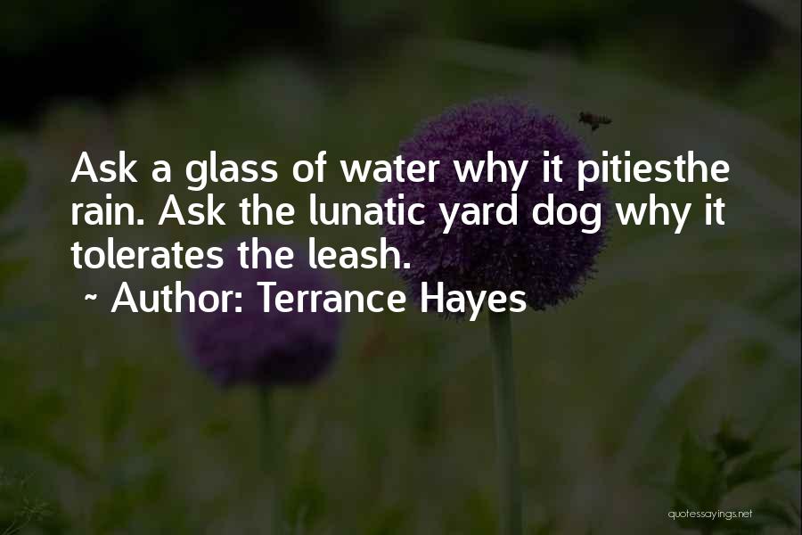 Terrance Hayes Quotes: Ask A Glass Of Water Why It Pitiesthe Rain. Ask The Lunatic Yard Dog Why It Tolerates The Leash.