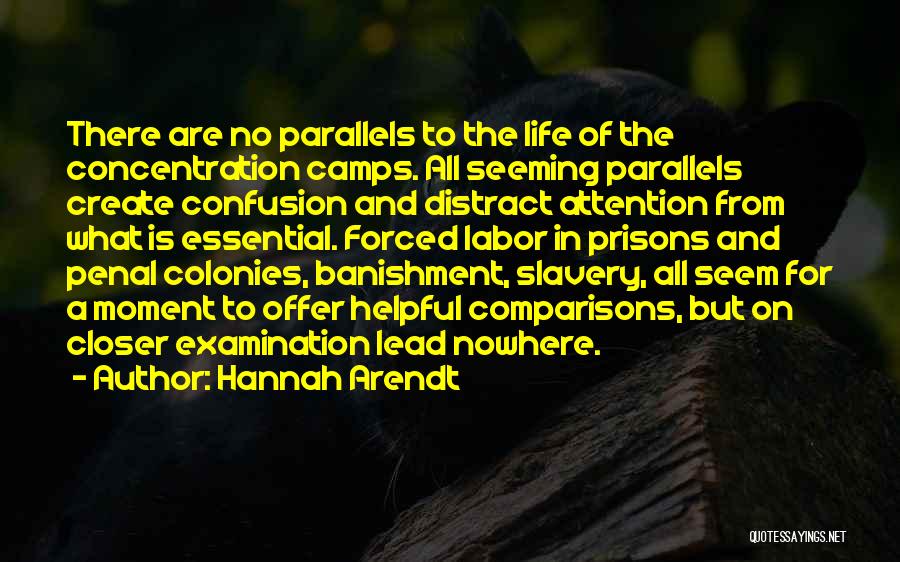 Hannah Arendt Quotes: There Are No Parallels To The Life Of The Concentration Camps. All Seeming Parallels Create Confusion And Distract Attention From