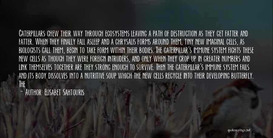 Elisabet Sahtouris Quotes: Caterpillars Chew Their Way Through Ecosystems Leaving A Path Of Destruction As They Get Fatter And Fatter. When They Finally