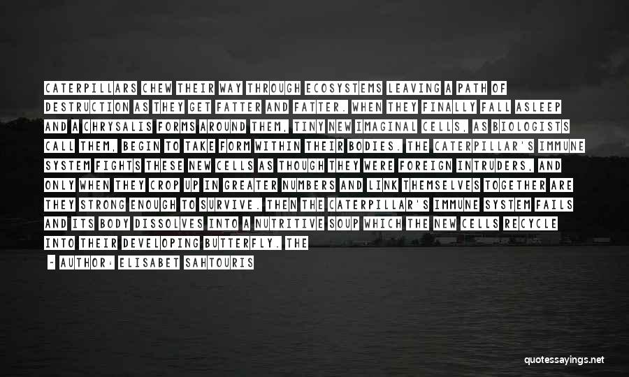 Elisabet Sahtouris Quotes: Caterpillars Chew Their Way Through Ecosystems Leaving A Path Of Destruction As They Get Fatter And Fatter. When They Finally