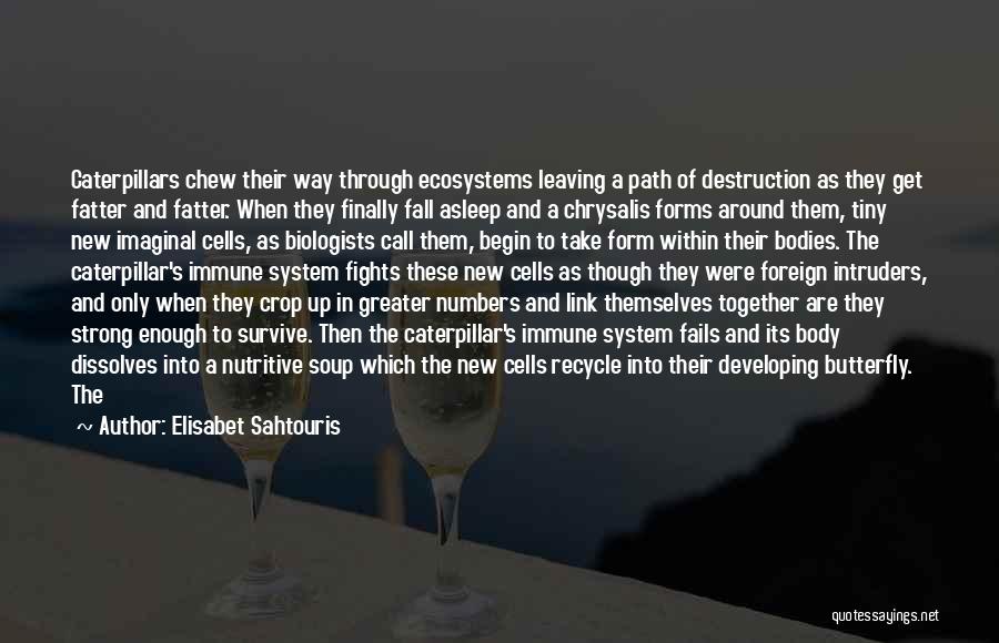 Elisabet Sahtouris Quotes: Caterpillars Chew Their Way Through Ecosystems Leaving A Path Of Destruction As They Get Fatter And Fatter. When They Finally