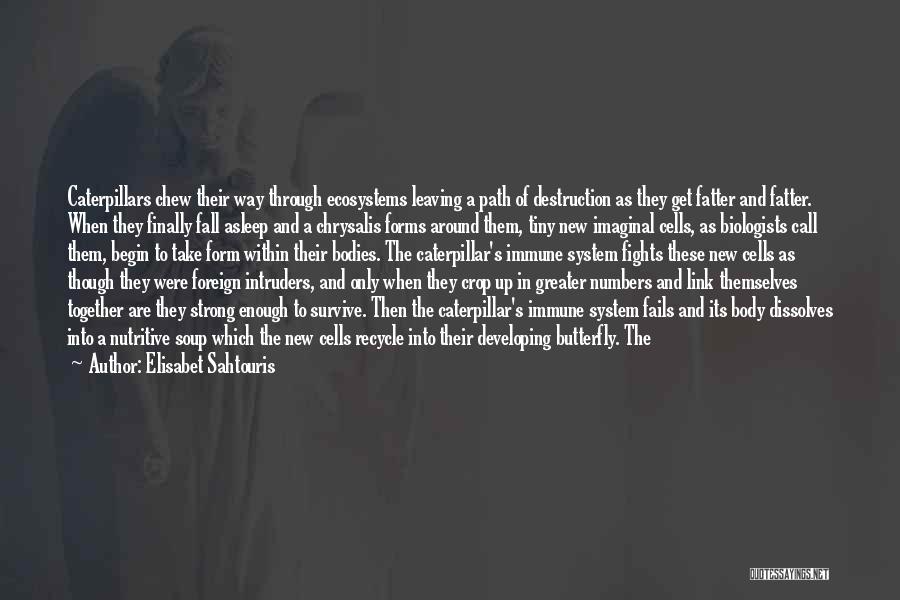 Elisabet Sahtouris Quotes: Caterpillars Chew Their Way Through Ecosystems Leaving A Path Of Destruction As They Get Fatter And Fatter. When They Finally