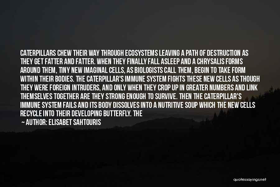 Elisabet Sahtouris Quotes: Caterpillars Chew Their Way Through Ecosystems Leaving A Path Of Destruction As They Get Fatter And Fatter. When They Finally