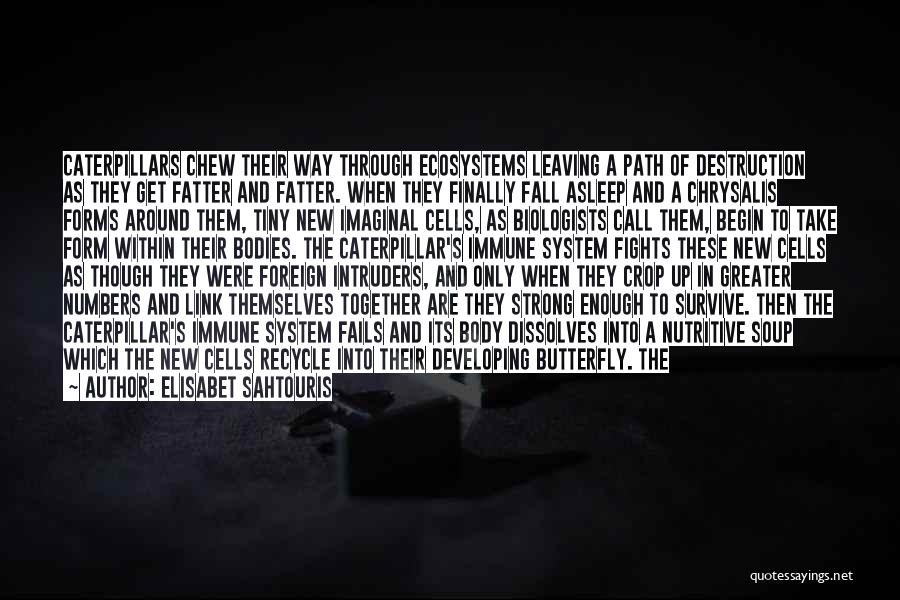 Elisabet Sahtouris Quotes: Caterpillars Chew Their Way Through Ecosystems Leaving A Path Of Destruction As They Get Fatter And Fatter. When They Finally
