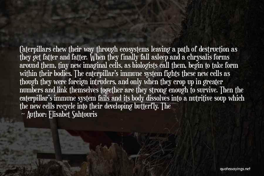 Elisabet Sahtouris Quotes: Caterpillars Chew Their Way Through Ecosystems Leaving A Path Of Destruction As They Get Fatter And Fatter. When They Finally