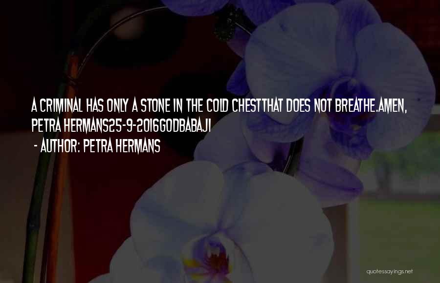 2016 Quotes By Petra Hermans