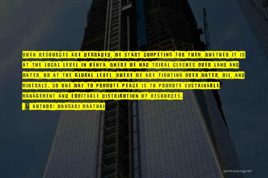 Wangari Maathai Quotes: When Resources Are Degraded, We Start Competing For Them, Whether It Is At The Local Level In Kenya, Where We