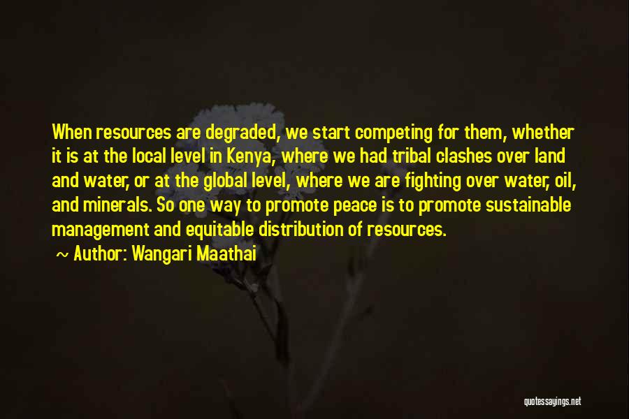 Wangari Maathai Quotes: When Resources Are Degraded, We Start Competing For Them, Whether It Is At The Local Level In Kenya, Where We
