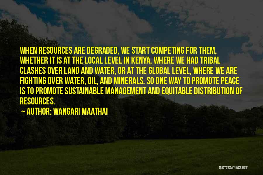 Wangari Maathai Quotes: When Resources Are Degraded, We Start Competing For Them, Whether It Is At The Local Level In Kenya, Where We