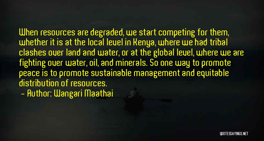 Wangari Maathai Quotes: When Resources Are Degraded, We Start Competing For Them, Whether It Is At The Local Level In Kenya, Where We