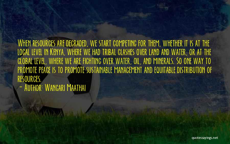 Wangari Maathai Quotes: When Resources Are Degraded, We Start Competing For Them, Whether It Is At The Local Level In Kenya, Where We