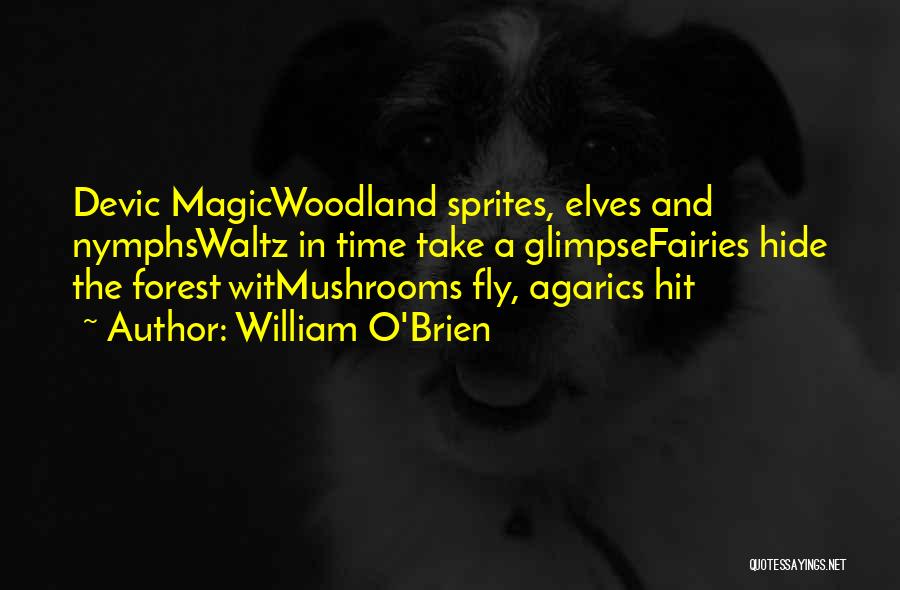 William O'Brien Quotes: Devic Magicwoodland Sprites, Elves And Nymphswaltz In Time Take A Glimpsefairies Hide The Forest Witmushrooms Fly, Agarics Hit