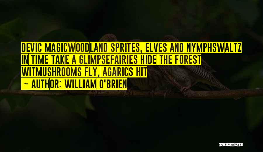 William O'Brien Quotes: Devic Magicwoodland Sprites, Elves And Nymphswaltz In Time Take A Glimpsefairies Hide The Forest Witmushrooms Fly, Agarics Hit