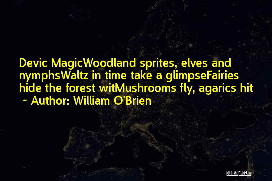 William O'Brien Quotes: Devic Magicwoodland Sprites, Elves And Nymphswaltz In Time Take A Glimpsefairies Hide The Forest Witmushrooms Fly, Agarics Hit